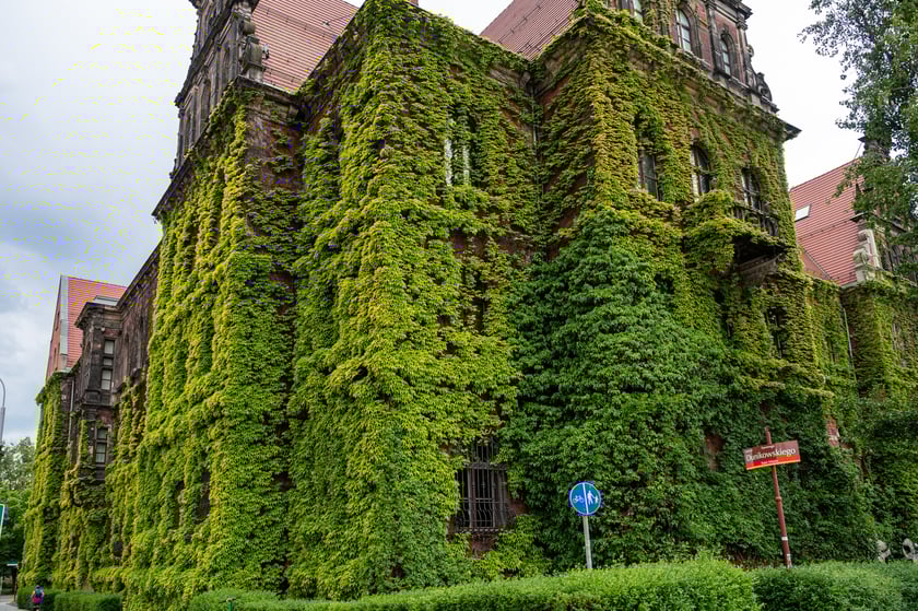 Muzeum Narodowe we Wrocławiu
